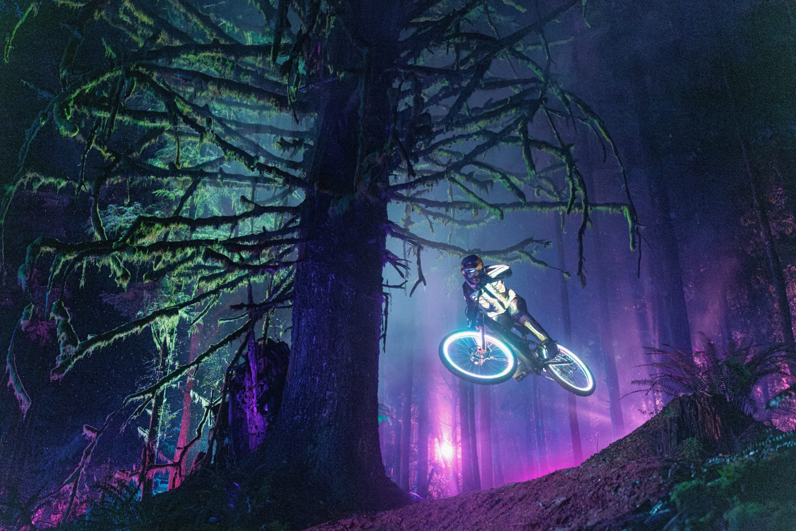 Hannah Bergemann jumping a mountain bike at night through a neon-lit forest in Lear Miller's Illume Awards 2026 Bike Category winning photo