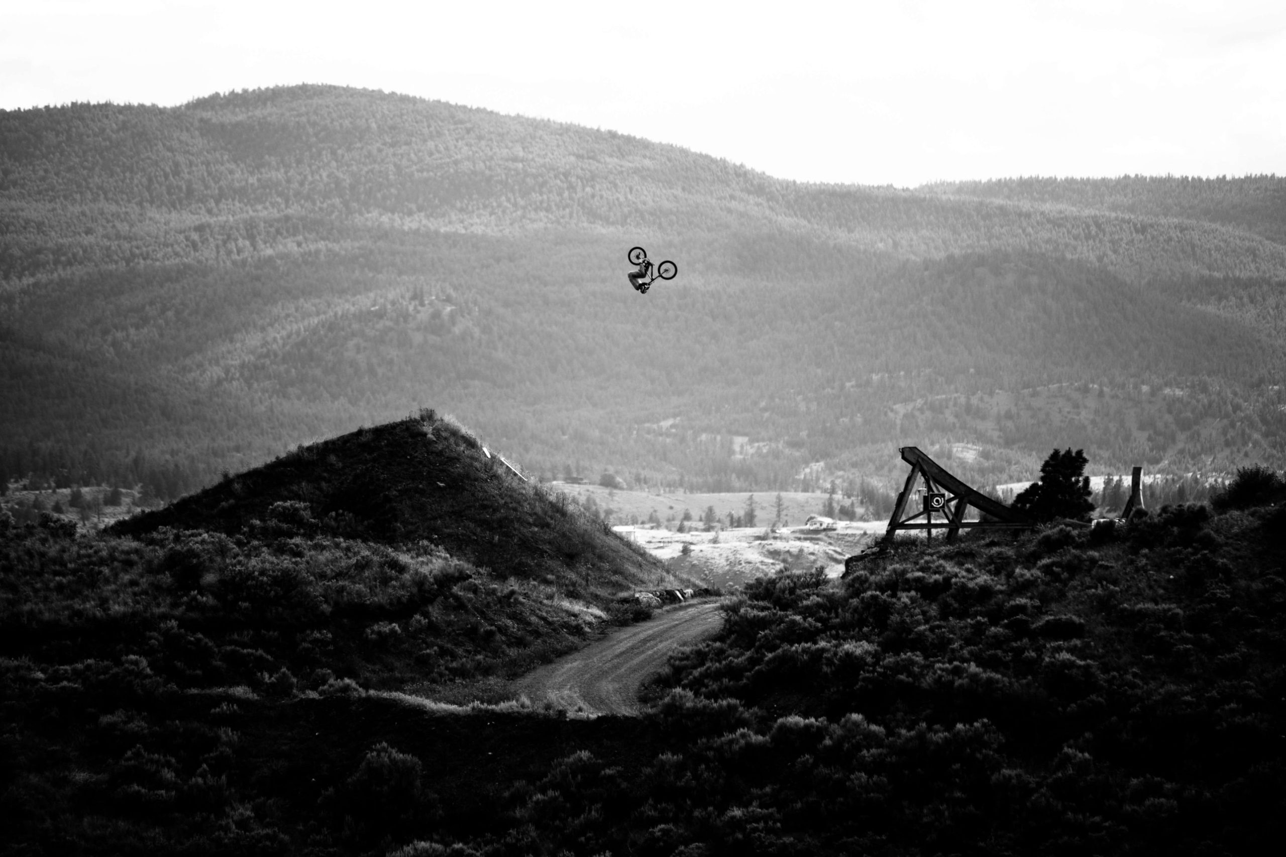 Black and white photo of a mountain biker doing a backflip above a dirt jump with forested hills behind