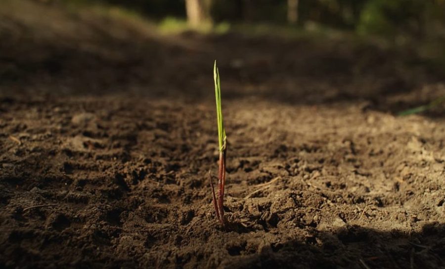 Press Release: All-New Rocky Mountain Element